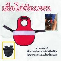 ราคา เสื้อซ้อมไก่ ป้องกันไก่ ป้องกันหลังพังจากเหล่าปาก๋อย อุปกรณ์ไก่ชน ปรับขนาดได้ (21603504088)