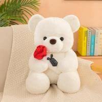 ราคา Dimama 25cm ของขวัญวันวาเลนไทน์สำหรับแฟน ตุ๊กตาหมี ดอกกุหลาบ ตุ๊กตา ของขวัญวันเกิดสำหรับเด็ก (23644832926)