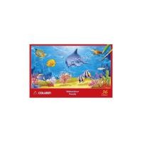 ราคา Colleen สีไม้ระบายน้ำคอลลีน รุ่น 12 24 36 สี (24301262814)