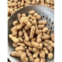 ราคา เก็บจากสวน ถั่วคั่วทราย ถั่วลิสงพื้นบ้าน คัดพิเศษ 1 Kg ราคา ถูก ส่ง (21155426917)