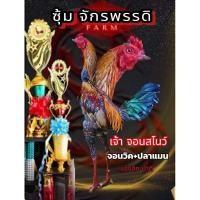 ราคา ไข่เชื้อไก่ชนพม่า จอนวิค ปลาแมน สายเลือดโกวเซ้ม บ้าตีแข้งลึก (24171798854)