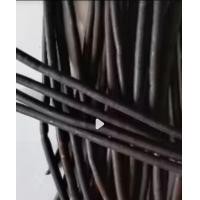 ราคา ฝักคูณแห้งบรรจุ 25 ฝัก (24453984634)