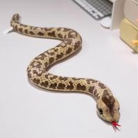 ราคา YAZHE งูน้อย ของเล่นตุ๊กตางูจำลอง อนาคอนด้าปลอม ตุ๊กตาผ้าพลัฌ ปีแห่งงูของเล่นตุ๊กตา ตุ๊กตามากับเด็ก การ์ตูนลายการ์ตูน ตุ๊กตางูยัดนุ่น ซุกซนซุกซน (24472821509)