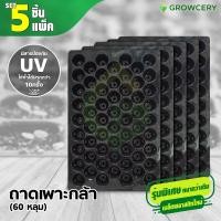 ราคา G Set 5 ใบ แพ็ค ถาดเพาะกล้า ถาดหลุม เพาะเมล็ด ถาดเพาะชำ ถาดเพาะ จำนวน 60 หลุม หนา 0 7 มม แบบใหม่ โดย GROWCERY (10420340135)