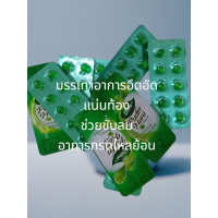 ราคา มินท์สกัด พูดินฮารา 100 เม็ด Pudin Hara 10แผง (24251657285)