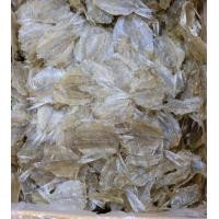 ราคา ปลาแป้นแก้วหวาน 500 กรัม พร้อมส่ง (3060482653)