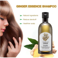 ราคา coco The Body Shop Ginger Anti dandruff Shampoo 400 ml 100 แท้ จิงเจอร์ แชมพู แชมพูสระผม (18690211673)