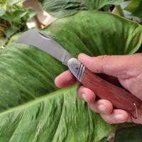 ราคา มีดตอนกิ่งไม้ปลายโค้งด้ามไม้ พับเก็บได้ rhino รุ่น 130 สีน้ำตาล มีดพับตอนกิ่ง มีดตอนกิ่งไม้ มีดติดตา มีดทาบกิ่ง เสียบยอด มีดเดินมีดตัดกล้วย และ มีดกรีดทุเรียน มีดหั่นกล้วย มีดปาดกล้วย ปลอกทุเรียน มีดพ