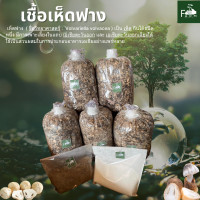 ราคา เชื้อเห็ดฟาง ชุดละ 189 บาท เชื้อ 5 ก้อน และอาหารเสริมเห็ดฟาง 2 อย่าง พร้อมคู่มือการปลูก (23021791533)