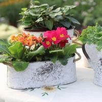 ราคา In Stock Rustic VaseIron กระถางดอกไม้บ้านตกแต่งแจกันสีขาวสำหรับตกแต่งบ้าน Clearance ห้องนอนห้องครัว Country Decor ชุบสังกะสี Planter ถังดีบุกดอกไม้แจกัน Centerpiece (7660841827)