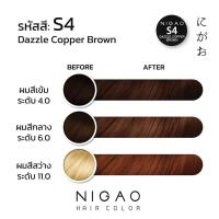 ราคา NIGAO Grey Coverage Hair Color นิกาโอะ แฮร์คัลเลอร์ ครีมย้อมผม รุ่นปิดผมขาว แถมฟรี Developer 1ขวด (13959727722)