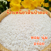 ราคา ข้าวเหนียวสันป่าตองใหม่5กก (21222554626)