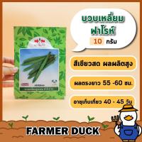 ราคา บวบ ฟาโรห์ F1 ส่งฟรี ติดผลดก สีเขียวนวล ตลาดต้องการ เมล็ดพันธุ์ บวบเหลี่ยม ฟาโร ลูกผสม ตราศรแดง บรรจุ 10 กรัม (21399674284)