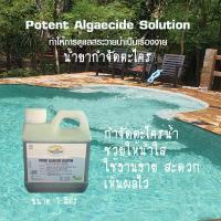 ราคา น้ำยาป้องกันและกำจัดตะไคร่น้ำ ขนาด 1 ลิตร ชนิดเข้มข้น Potent Algaecide Solution พร้อมช้อนตวงน้ำยา (17718946908)