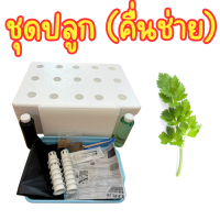 ราคา ชุดปลูกผักไฮโดรโปนิกส์ ชุดปลูกผักชี คึ่นช่าย อุปกรณ์ครบ พร้อมปลูก เเถมเมล็ด (23987054202)