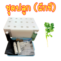 ราคา ชุดปลูกผักไฮโดรโปนิกส์ ชุดปลูกผักชี คึ่นช่าย อุปกรณ์ครบ พร้อมปลูก เเถมเมล็ด (23987054203)