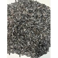 ราคา เมล็ดต้นอ่อนทานตะวัน 1 กก เมล็ดทานตะวันลายไทย ลายใหญ่ นำเข้า เมล็ดทานตะวันเพาะงอก อัตราการงอกสูง (20720662780)