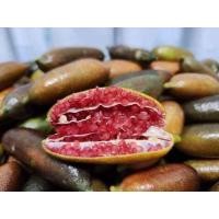 ราคา มะนาวคาเวียร์ สรรพคุณล้นเหลือ (24339834133)