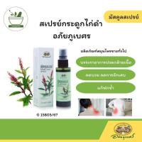 ราคา สเปรย์กระดูกไก่ดำ อภัยภูเบศร มัสคูลสเปรย์ (21376127724)