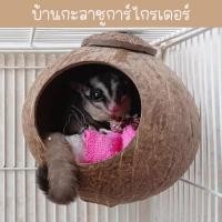 ราคา ที่นอนชูการ์ บ้านกะลา กะลามะพร้าว บ้านกะลาชูก้า บ้านกะลากระรอก บ้านกะลานก ที่นอนสัตว์เลี้ยง บ้านกะลาชูการ์ไกรเดอร์ (24063196342)