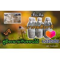 ราคา เชื้อเห็ดนางรมดำ ฟรีคู่มือเพาะกับขอนไม้ (15630837072)