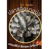 ราคา ปลาสลิดแดดเดียว บางบ่อแท้ 4 5ตัว 500g เนื้อแน่น ตัวใหญ่ กรอบ หอม ไม่เค็มจัด พร้อมทอด จ๊อบจัดสลิด พร้อมส่ง (24548650041)