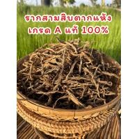 ราคา รากสามสิบแห้ง ราก สามสิบแห้ง สมุนไพรราก สามสิบ สมุนไพรราก30 (22288377946)