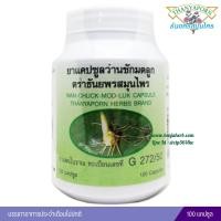 ราคา แคปซูลว่านชักมดลูก ธันยพร (24056254569)