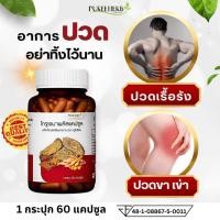ราคา Puree Herb โกฐเขมาพลัส แคปซูล ภูรีเฮิร์บ โกฐ เขมา พลัส พลูคาว กระชาย ข้อ เข่า หลัง เอว ปวดเมื่อย เส้นยึด เส้นตึง (23979469180)