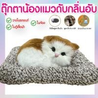 ราคา ตุ๊กตาน้องแมวดับกลิ่นอับ ตุ๊กตาน้องหมาดูดกลิ่นในบ้าน ในรถ ดูดกลิ่นไม่พึงประสงค์ MT250515 (24565219614)
