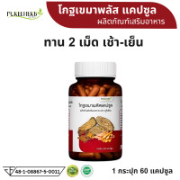 ราคา โกฐเขมาพลัส แคปซูล โกฐเขมา ตราภูรีเฮิร์บ Puree Herb ปวดเมื่อย เส้นยึด เส้นตึง รองช้ำ 1 กระปุก 60 แคปซูล (23222782210)
