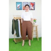 ราคา A1กางเกงผ้านิ่ม5ส่วน สาวอวบสาวพลัสไซส์ (23978036712)