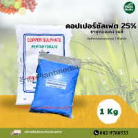 ราคา คอปเปอร์ซัลเฟต ธาตุทองแดง 25 จุนสี บรรจุ 1 กิโลกรัม (19053366523)