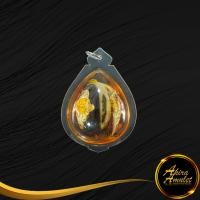 ราคา จี้ พญาเล็บครุฑ จับเงินจับทอง พืชมหามงคล หายาก ตัวผู้และตัวเมียแช่น้ำมันจันทร์หอม เสริมบารมี โชคลาภ พร้อมเลี่ยมกรอบพลาสติกกันน้ำ (15032538892)