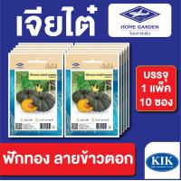 ราคา ผักซอง เจียไต๋ CT15 ฟักทอง ลายข้าวตอก บรรจุแพ็คล่ะ 10 ซอง ราคา 75 บาท (17027086261)