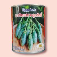 ราคา เมล็ดมะเขือเปราะลูกรักบี้ ตราภูเขาทอง ขนาด40กรัม Eggplant เมล็ดมะเขือเปราะ เมล็ดพันธุ์มะเขือเปราะ มะเขือเปราะ เมล็ดพันธุ์ผัก (24620878563)