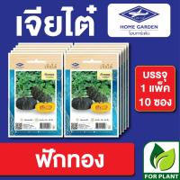 ราคา ผักซอง เจียไต๋ CT15 เมล็ดพันธุ์ พันธุ์ผัก ฟักทอง บรรจุแพ็คล่ะ 10 ซอง ราคา 75 บาท (16652099045)