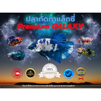 ราคา ปลากัดกาเลคซี่ นีโม่ โตเต็มวัย รับประกันการขนส่ง (19241433412)