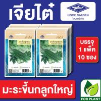 ราคา ผักซองเจียไต๋ มะระขี้นกลูกใหญ่ บรรจุแพ็คล่ะ 10 ซอง ราคา 75 บาท (17017830354)