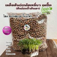 ราคา เมล็ดต้นอ่อนโต้วเหมี่ยว ต้นอ่อนถั่วลันเตา โตเหมี่ยวเพาะงอก (24246182445)