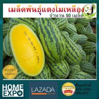 ราคา เมล็ดพันธุ์แตงโมเหลือง รันรัน จำนวน 50เมล็ด ปลูกง่าย โตเร็ว แตงโม เมล็ดพันธุ์ เมล็ดผลไม้ (2181356507)