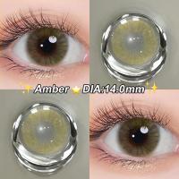 ราคา Magister คอนแทคเลนส์สายตาสั้น 6 เดือน สีน้ําตาลคอนแทคเลนส์ 14 0 มม สายตาปกติ 800 องศา 2 ชิ้น (22192621301)