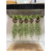 ราคา โมบายเคราฤาษีพร้อมแขวน โมบายเคราใส่ลูกตีนเป็ด สำหรับตกแต่งสวน เคราฤาษี มอสสเปน ไม้ฟอกอากาศกรองฝุ่น pm 2 5 ม่านบังแดด เคราฤาษี (22860531440)