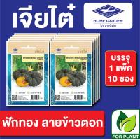 ราคา เมล็ดพันธุ์ ผักซอง ฟักทองลายข้าวตอก ตราเจียไต๋ บรรจุแพ็คล่ะ 10 ซอง ราคา 75 บาท (16998310351)