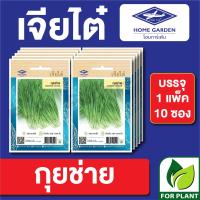 ราคา เมล็ดพันธุ์ ผักซอง กุยช่าย ตราเจียไต๋ CT15 บรรจุแพ็คล่ะ 10 ซอง ราคา 75 บาท (20775080596)