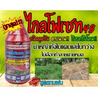 ราคา ยากำจัดวัชพืช 1ลิตร กำจัดหญ้า ไกล โฟ เสท สูตรทรฝน ฆ่าหญ้าทุกชนิด ตายนานตายถึงราก ไกลโฟเชต48 (20155353444)