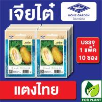 ราคา ผักซอง เจียไต๋ CT15 เมล็ดพันธุ์ พันธุ์ผัก แตงไทย บรรจุแพ็คล่ะ 10 ซอง ราคา 75 บาท (16997342307)