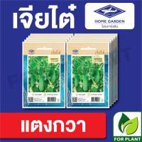 ราคา ผักซอง เจียไต๋ CT15 เมล็ดพันธุ์ พันธุ์ผัก แตงกวา บรรจุแพ็คล่ะ 10 ซอง ราคา 75 บาท (16674315222)