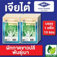 ราคา ผักซอง เจียไต๋ CT15 ผักกาดขาวปลีพันธุ์เบา บรรจุแพ็คล่ะ 10 ซอง ราคา 75 บาท (17659560109)