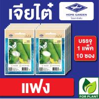 ราคา ผักซอง เจียไต๋ CT15 เมล็ดพันธุ์ พันธุ์ผัก แฟง บรรจุแพ็คล่ะ 10 ซอง ราคา 75บาท (16674631320)
